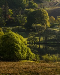 adf_LoughriggTarn_1